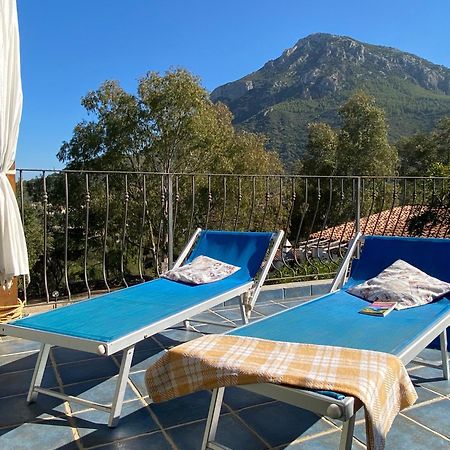 Taddore Green Lodge Гальтелли Экстерьер фото