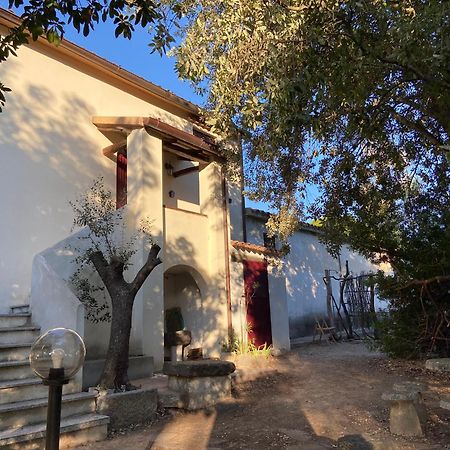 Taddore Green Lodge Гальтелли Экстерьер фото